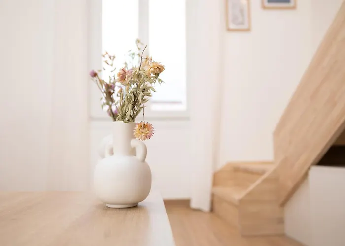 דירה Les Palmiers, Center, Walk To Beach, Ac, Wifi